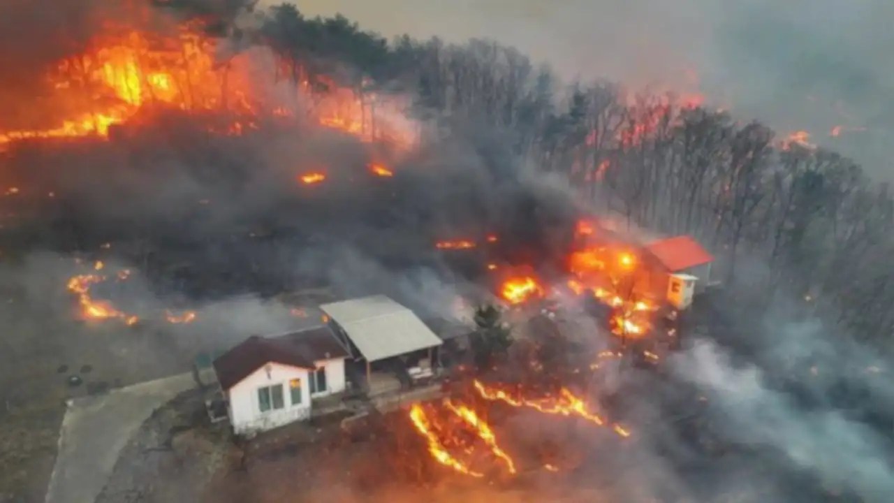 Impactantes Fotos: Corea del Sur Sufre Históricos Incendios Forestales con 27 Muertos y 26 Heridos