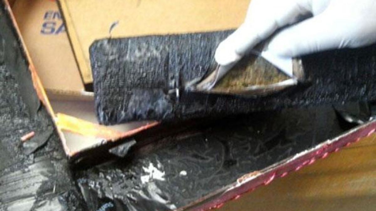 Descubren 39 kilos de marihuana ocultos en cuadros decorativos en la Central del Norte - El Sol de México