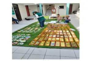 Serfor Arequipa incauta más de 700 mariposas disecadas en Mollendo: Un hallazgo sorprendente