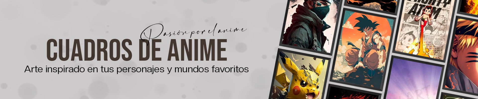 Cuadros de Anime