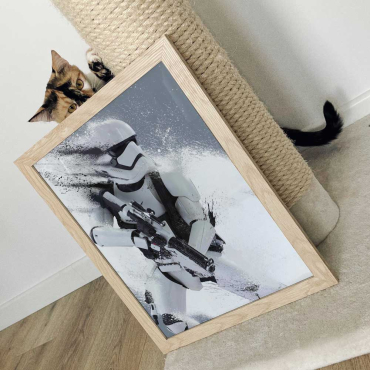 Cuadros de Peliculas - Star Wars Stormtropper