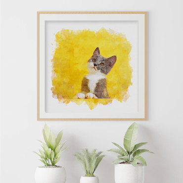 Cuadros Personalizados - Pinturas de Mascotas a Partir de Fotos