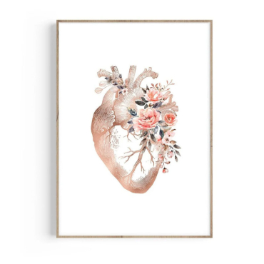 cuadro anatomia del corazon