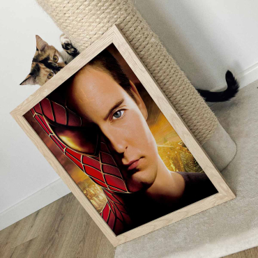 Cuadros de Peliculas - Peter Parker Spiderman 2002