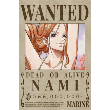 Poster One Piece Nami