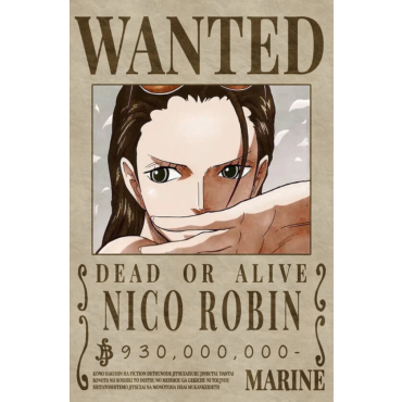 poster one piece nico robin
