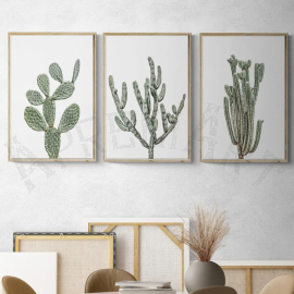 Cuadros de Cactus