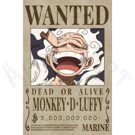 one piece monkey d luffy