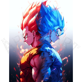 poster de vegeta y goku - dragon ball