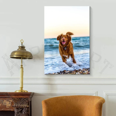 Impresiones Fotográficas En Canvas de tu Mascota