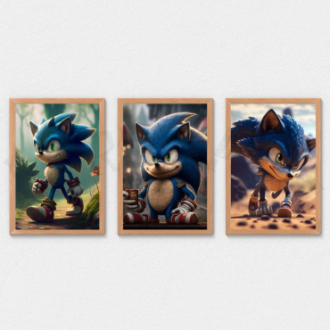 cuadros decorativos sonic the hedgehog