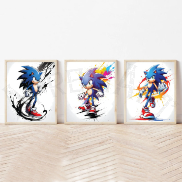 Cuadros Decorativos - Sonic