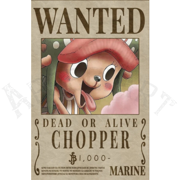 poster one piece chopper