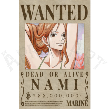 Poster One Piece Nami