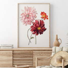 Cuadros Decorativos - Pintura de Flores de Willem Hekking