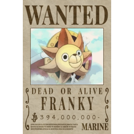 poster one piece franky