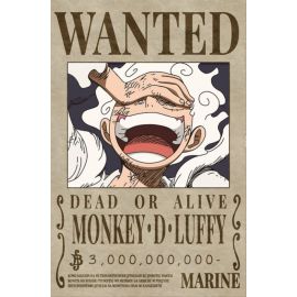 Póster One Piece Monkey D Luffy