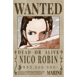 Póster One Piece Nico Robin