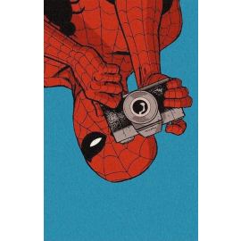 Póster Spiderman fotógrafo