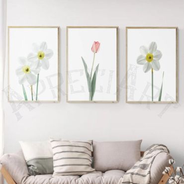 cuadros decorativos margaritas y tulipanes