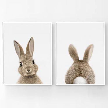 Cuadros Para Bebés - Conejo - Set de 2