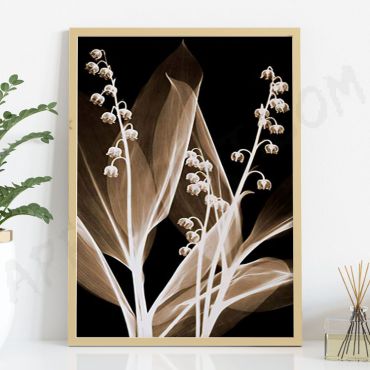 Cuadros de Flores - Brillo Floral - Set de 3