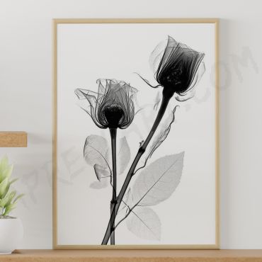 Cuadros de Flores - Elegancia Oscura - Set de 3
