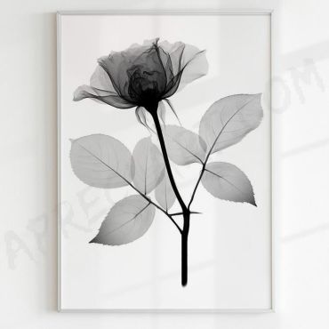 Cuadros de Flores - Oscuro Encanto - Set de 3