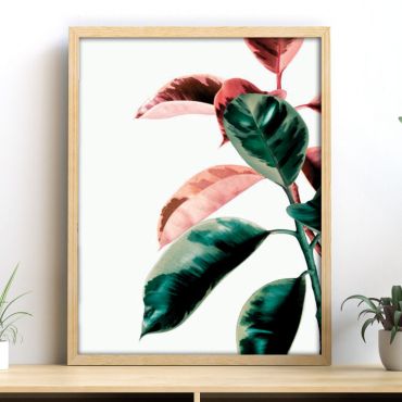Cuadros de Plantas - Verde Sutil - Set de 3