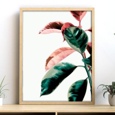 Cuadros de Plantas - Verde Sutil - Set de 3