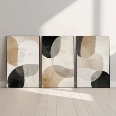 Cuadros Abstractos - Formas de Ébano - Set de 3
