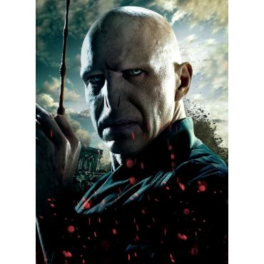 Pósters de Harry Potter - Voldemort