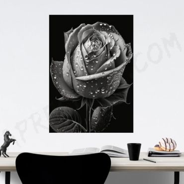 Cuadro de Gotas en la Rosa