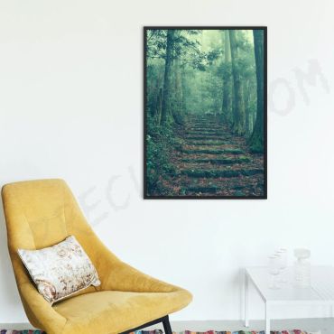 Cuadro Paseo por el Bosque
