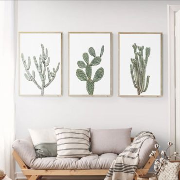 Cuadros de Plantas - Cactus