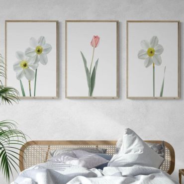 Cuadros de Flores - Margaritas y Tulipanes - Set de 3