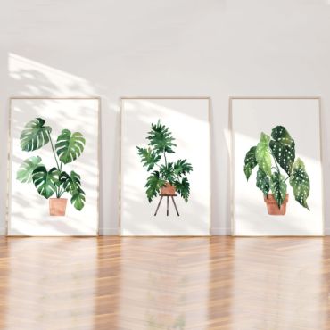 Cuadros de Plantas - Juego Botánico