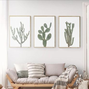 Cuadros de Plantas - Cactus