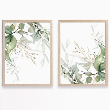 Cuadros de Plantas - Eucalipto