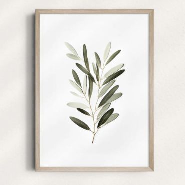 Cuadros de Plantas - Eucalipto