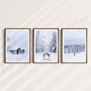 Cuadros para Sala - Paisajes Invernales - Set de 3
