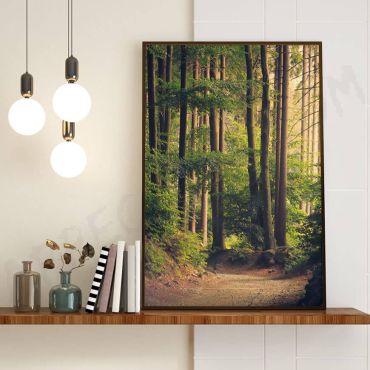 Cuadros de Paisajes - Bosque verde