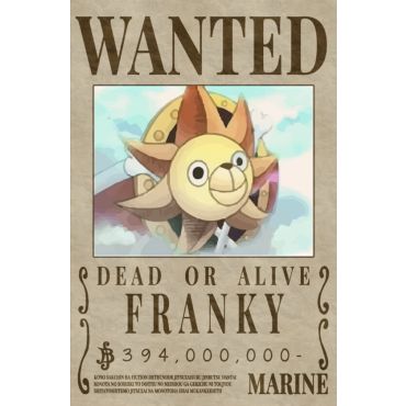 Póster One Piece Franky