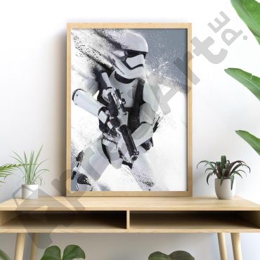 Cuadros de Peliculas - Star Wars Stormtropper