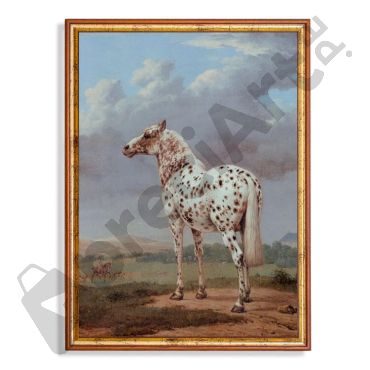 cuadros decorativos caballo blanco