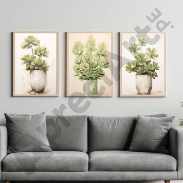 Cuadros Decorativos - Plantas Suculentas