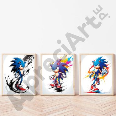 Cuadros Decorativos - Sonic