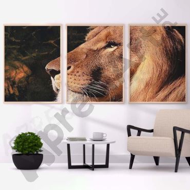 Cuadros de Animales - El Rey