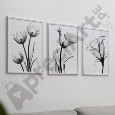 Cuadros de Flores - Oscuridad Floral
