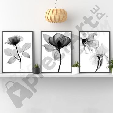 Cuadros de Flores - Oscuro Encanto